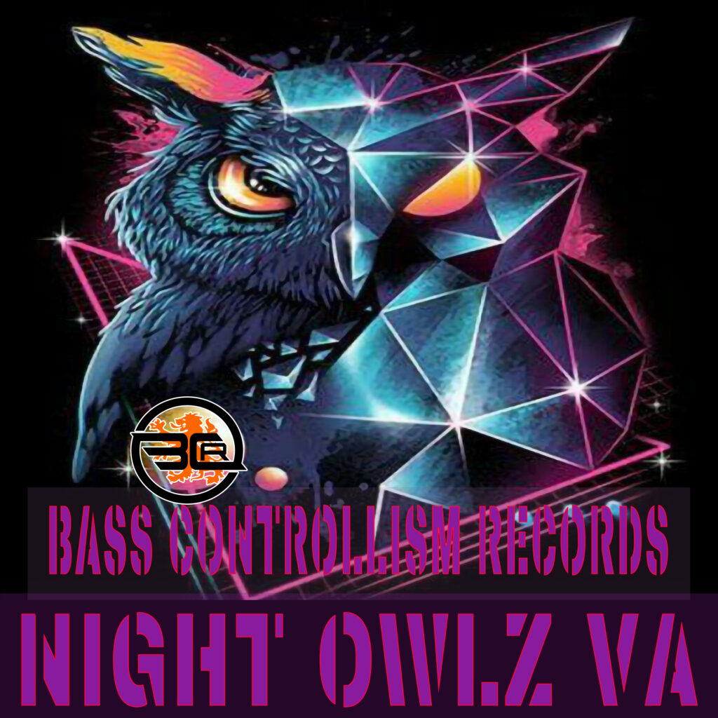 Bass Controllism Records - NIGHT OWLZ VA cover final
